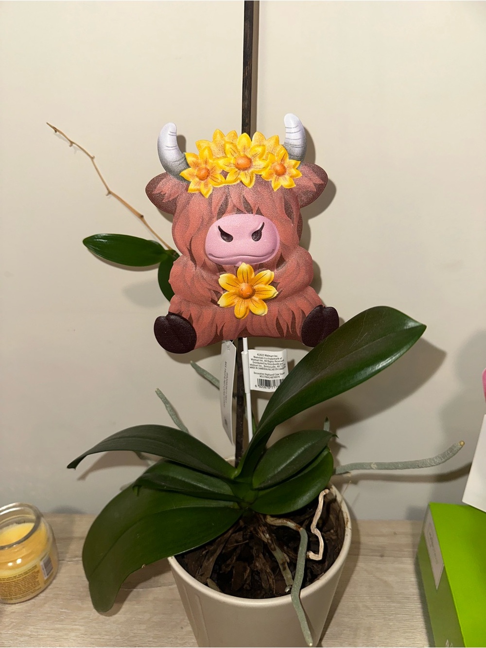 Cute Floral Highland Cow Plant Stake -